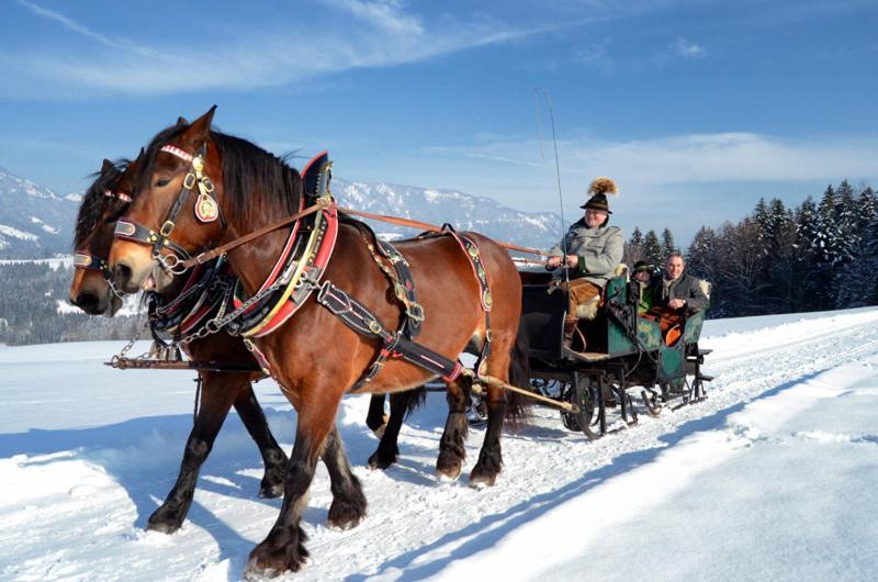Unterwoetzlhof Otel Abtenau Dış mekan fotoğraf